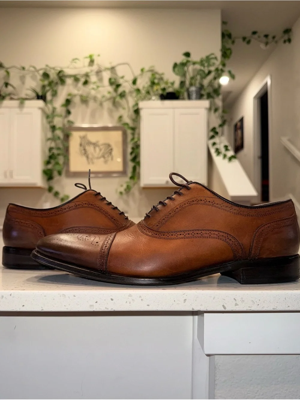 To Boot New York Men's Brown Cap-Toe Brogue Oxfords